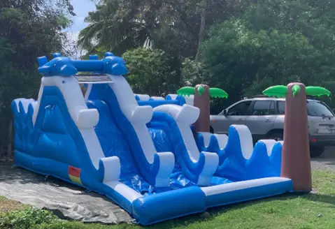 DAUPHIN SPLASH ( PVC ) 