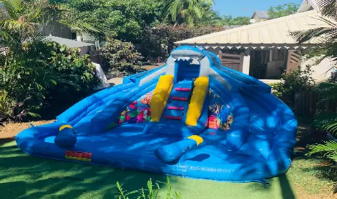 BABY SHARK ( PVC ) 