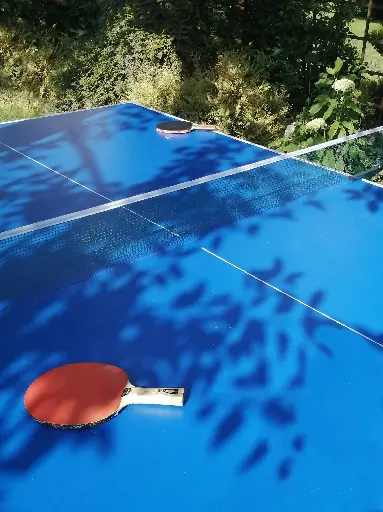 Table Ping-Pong